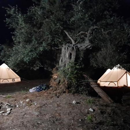 Albanian Glamping Bunec Piqeras Exterior foto